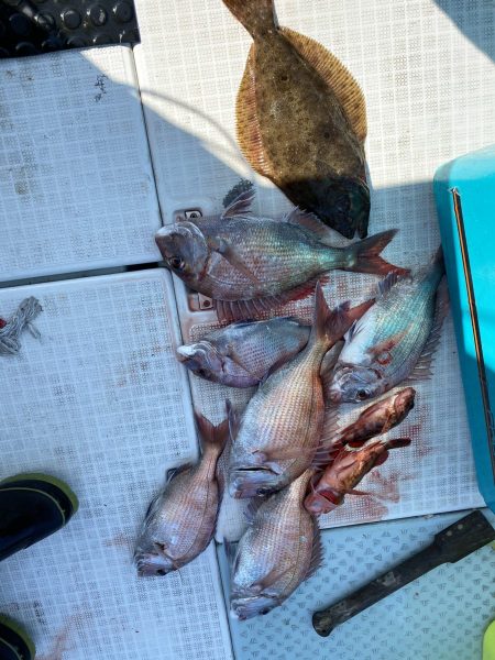 リトルワン 釣果