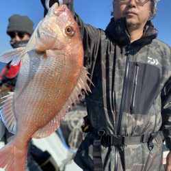 リトルワン 釣果