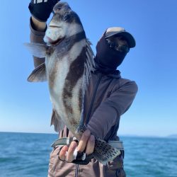 リトルワン 釣果