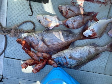 リトルワン 釣果