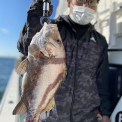 リトルワン 釣果