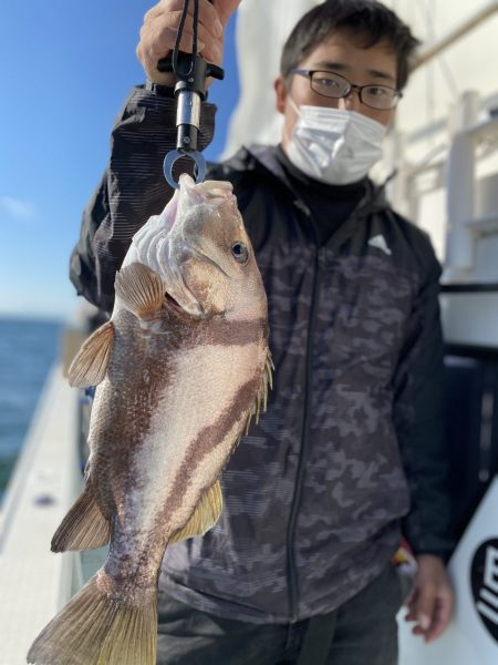 リトルワン 釣果