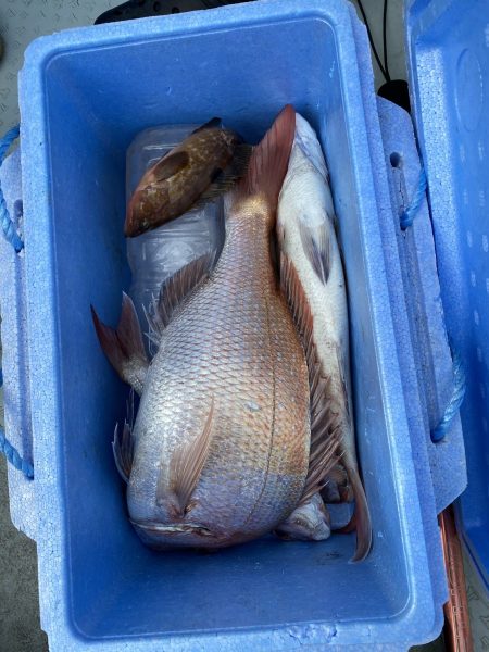 リトルワン 釣果