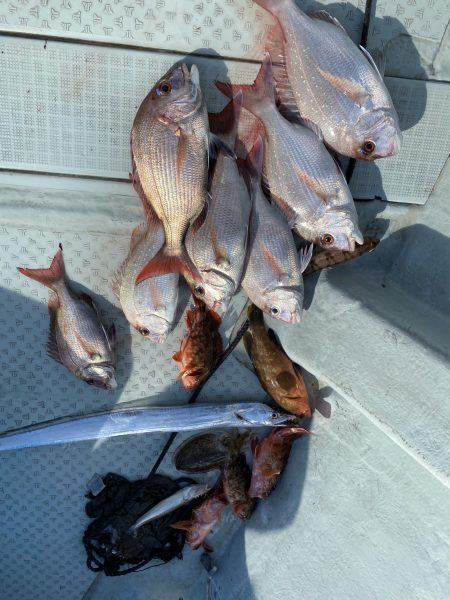 リトルワン 釣果