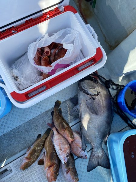 リトルワン 釣果