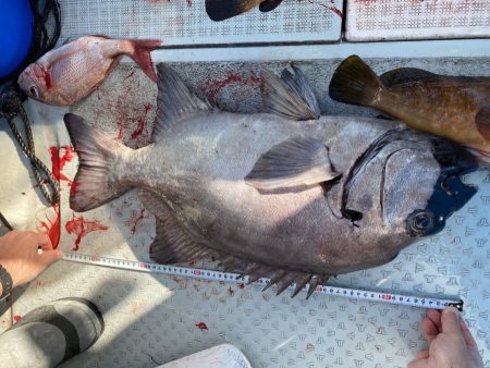 リトルワン 釣果