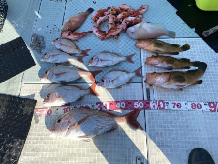 リトルワン 釣果