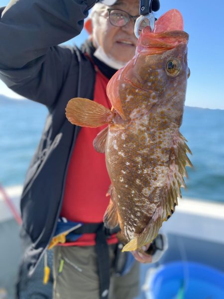 リトルワン 釣果