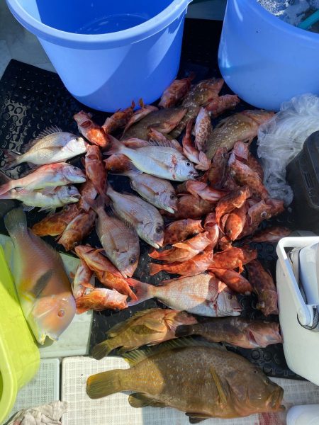 リトルワン 釣果