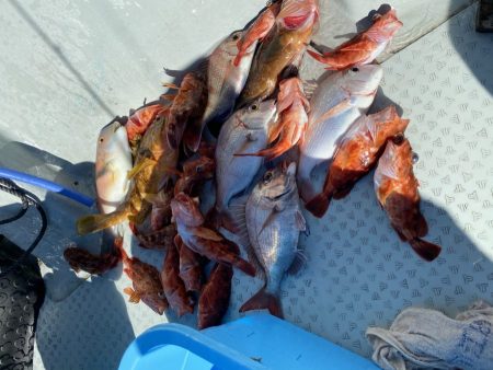 リトルワン 釣果