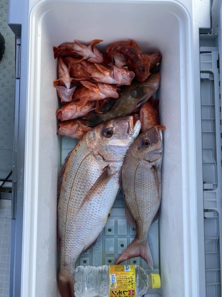 リトルワン 釣果