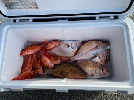 リトルワン 釣果