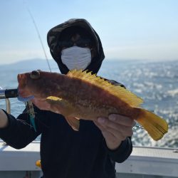 リトルワン 釣果