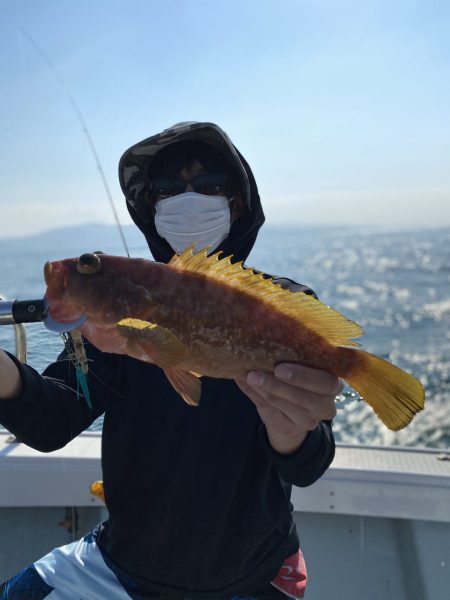 リトルワン 釣果