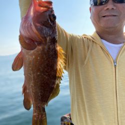 リトルワン 釣果