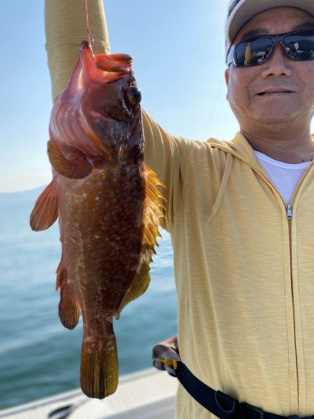 リトルワン 釣果