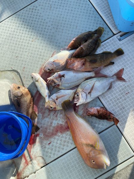 リトルワン 釣果