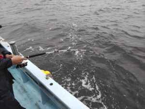 東京湾探釣隊ぼっち 釣果
