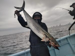 東京湾探釣隊ぼっち 釣果
