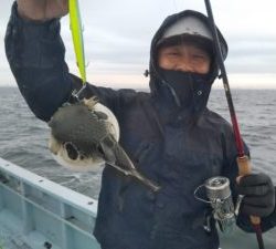 東京湾探釣隊ぼっち 釣果