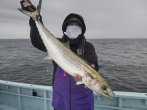 東京湾探釣隊ぼっち 釣果