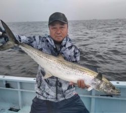東京湾探釣隊ぼっち 釣果