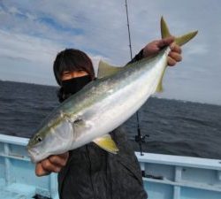 東京湾探釣隊ぼっち 釣果