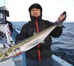 東京湾探釣隊ぼっち 釣果