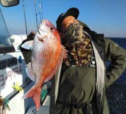東京湾探釣隊ぼっち 釣果