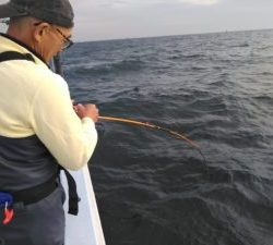 東京湾探釣隊ぼっち 釣果