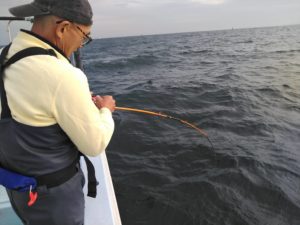 東京湾探釣隊ぼっち 釣果