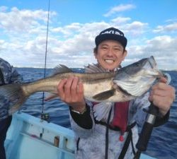 東京湾探釣隊ぼっち 釣果