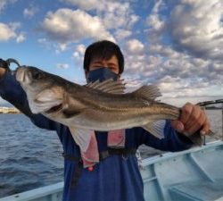 東京湾探釣隊ぼっち 釣果