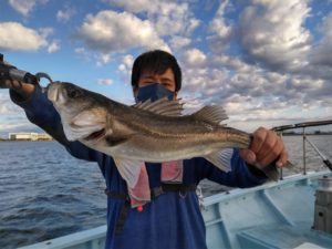 東京湾探釣隊ぼっち 釣果