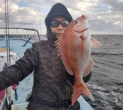 東京湾探釣隊ぼっち 釣果
