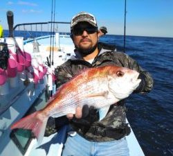 東京湾探釣隊ぼっち 釣果