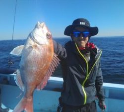 東京湾探釣隊ぼっち 釣果