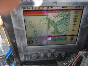 東京湾探釣隊ぼっち 釣果