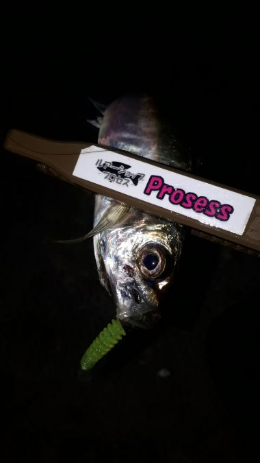 へしゃげて喰わすことができるトレモロAJ【がまかつ LUXXE宵姫　インプレッション】