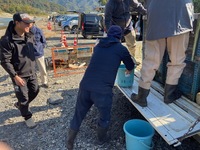 秩父フライフィールド 釣果