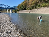 秩父フライフィールド 釣果