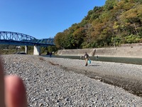 秩父フライフィールド 釣果