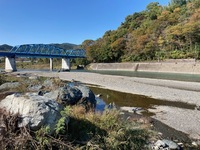 秩父フライフィールド 釣果