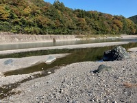 秩父フライフィールド 釣果