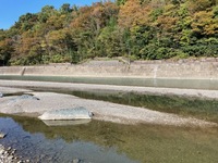 秩父フライフィールド 釣果