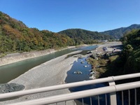 秩父フライフィールド 釣果