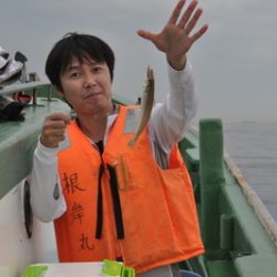 根岸丸 釣果