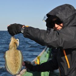 根岸丸 釣果