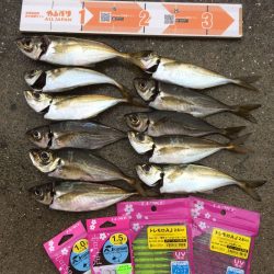 アジの上顎にガッツリHIT！大阪南部アジングレポート【がまかつ LUXXE宵姫　インプレッション】