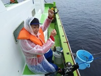 なごみ船 釣果